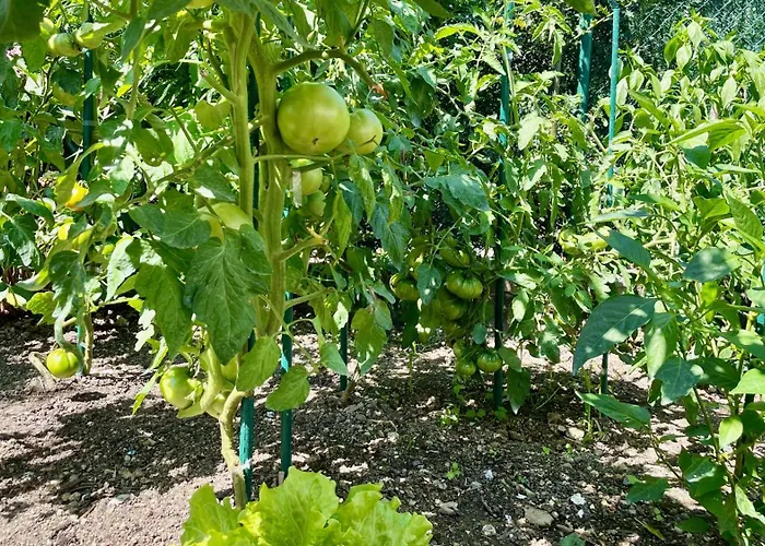 Matxiku Aurre Εξοχικό σπίτι *
