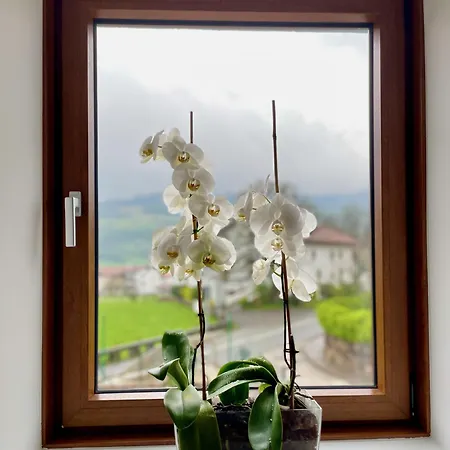 Country house Matxiku Aurre