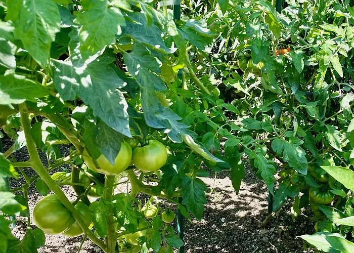 Country house Matxiku Aurre Berastegui